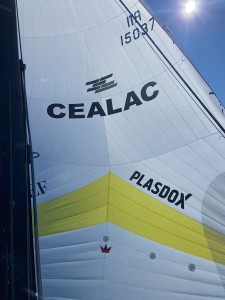 Plasdox sponsor partenaire du bateau Cealac pour la Baticup