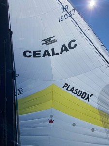 Plasdox sponsor partenaire du bateau Cealac pour la Baticup